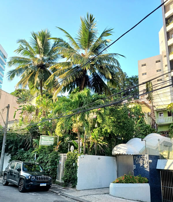 Hotel Pousada Papaya Verde