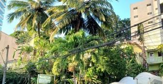 Hotel Pousada Papaya Verde - Salvador BA