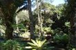 Jardim :: Brumas da Serra Pousada - Foto 4 Jardim :: Brumas da Serra Pousada - Foto 4