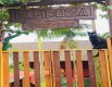 Pousada Bambuza - Foto 2