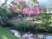 Vista parcial do lago :: Hotel Pousada Esmeralda - Foto 9 Vista parcial do lago :: Hotel Pousada Esmeralda - Foto 9