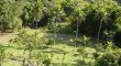 Hotel Fazenda São José das Flores - Foto 5 Hotel Fazenda São José das Flores - Foto 5