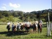 Cavalgada :: Pousada Fazenda São Bento - Foto 10 Cavalgada :: Pousada Fazenda São Bento - Foto 10
