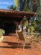 Hotel Residence Jaguary - Foto 23