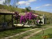 Pousada Primavera - Foto 18 Pousada Primavera - Foto 18